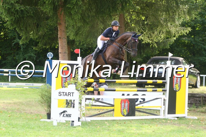 308M0810_Sunnyboy_Spring Mx.JPG